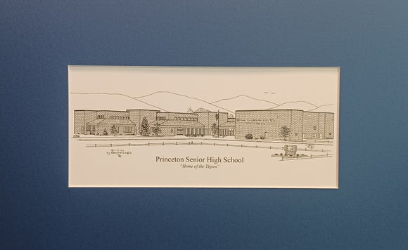 Princeton Senior High School
